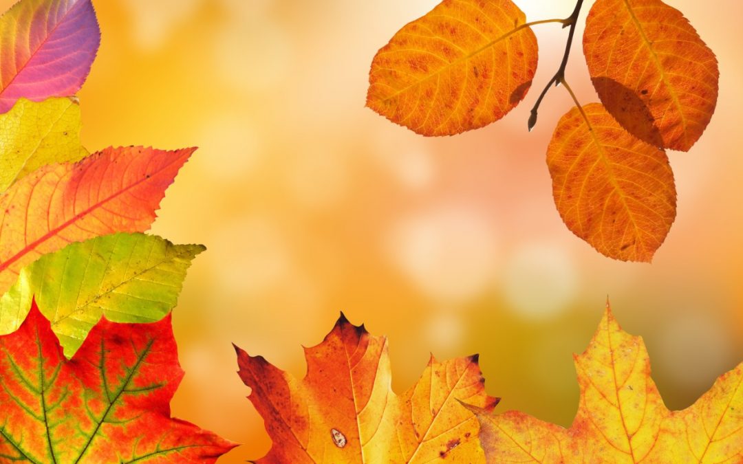 7 Easy Ways To Make Your Home Ready For Autumn