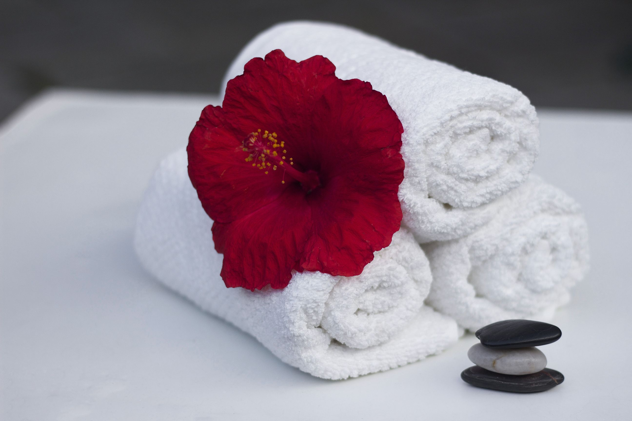  http://absfreepic.com/free-photos/download/red-flower-on-towels-5184x3456_87755.html