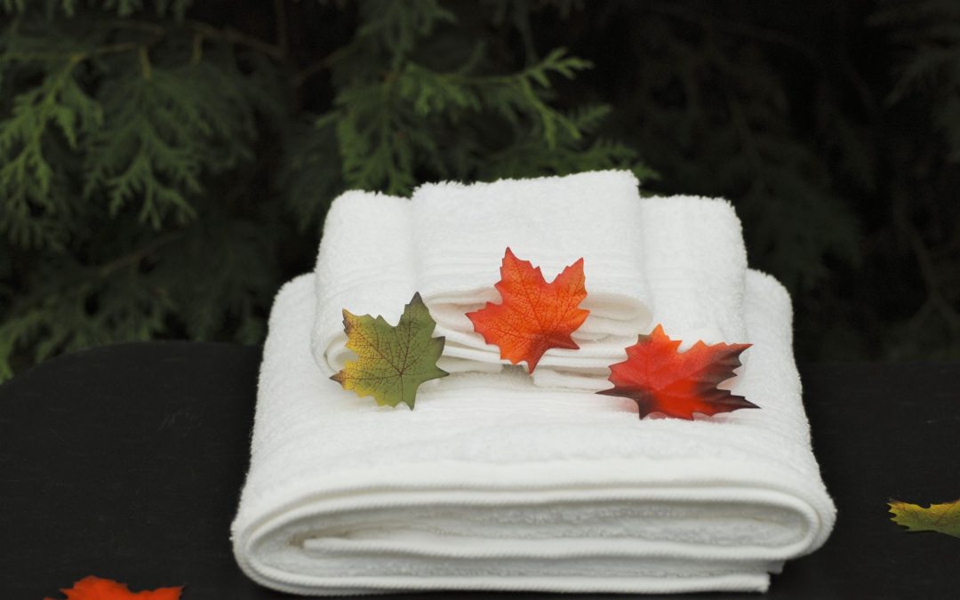 Choosing the Right Towel: 4 Things You NEED TO Know