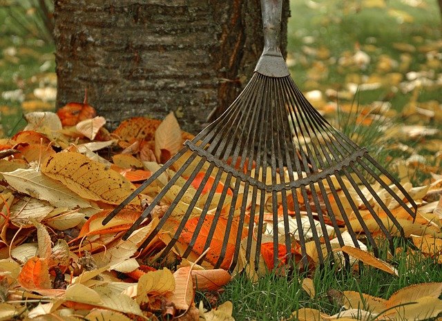 rake up leaves